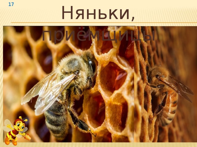 Няньки,  приёмщицы  