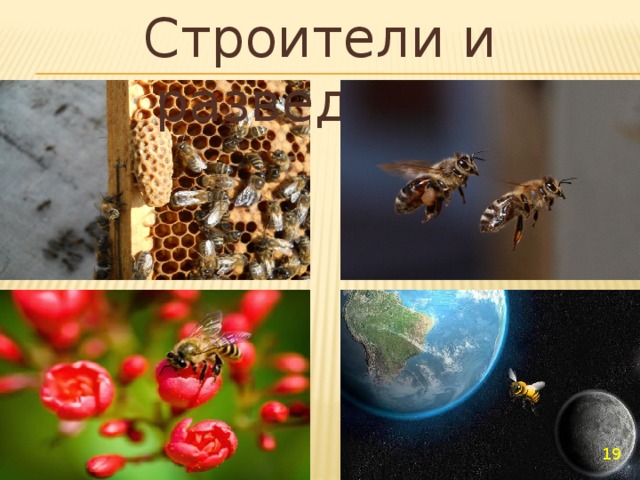 Строители и разведчики  