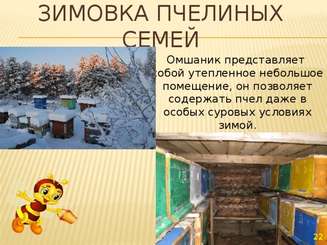Зимовка пчелиных семей Омшаник представляет собой утепленное небольшое помещение, он позволяет содержать пчел даже в особых суровых условиях зимой.     