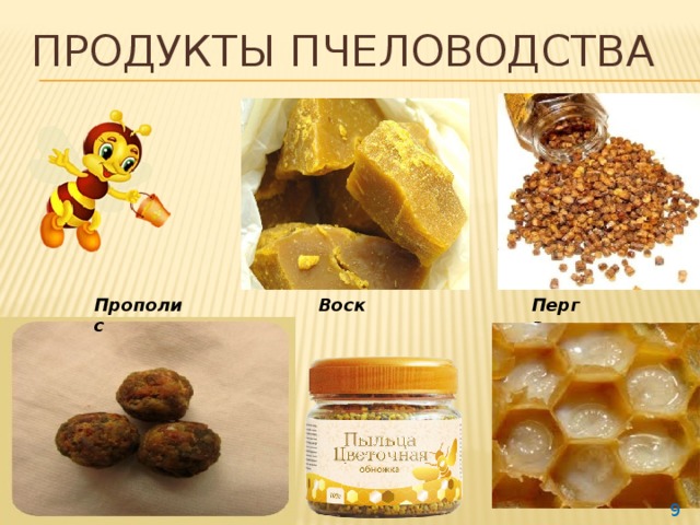 Продукты пчеловодства Прополис Перга Воск  