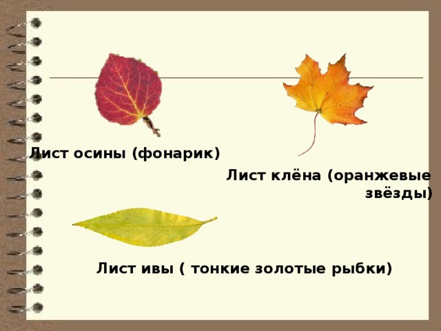 Лист осины (фонарик) Лист клёна (оранжевые  звёзды) Лист ивы ( тонкие золотые рыбки) 