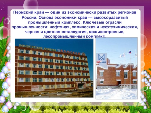  Пермский край — один из экономически развитых регионов России. Основа экономики края — высокоразвитый промышленный комплекс. Ключевые отрасли промышленности: нефтяная, химическая и нефтехимическая, черная и цветная металлургия, машиностроение, лесопромышленный комплекс. 