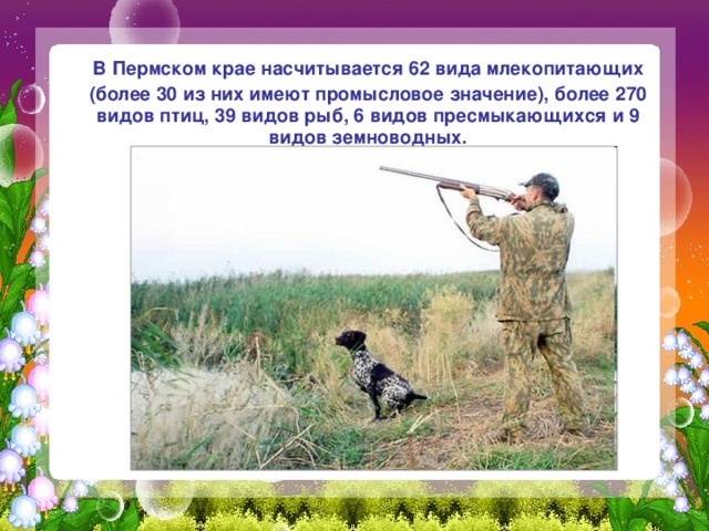  В Пермском крае насчитывается 62 вида млекопитающих (более 30 из них имеют промысловое значение), более 270 видов птиц, 39 видов рыб, 6 видов пресмыкающихся и 9 видов земноводных. 