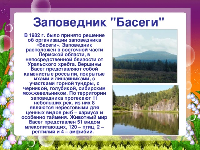 Заповедник 