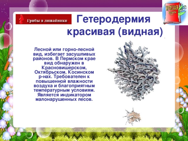 Гетеродермия  красивая (видная)  Лесной или горно-лесной вид, избегает засушливых районов. В Пермском крае вид обнаружен в Красновишерском, Октябрьском, Косинском р-нах. Требователен к повышенной влажности воздуха и благоприятным температурным условиям. Является индикатором малонарушенных лесов. 