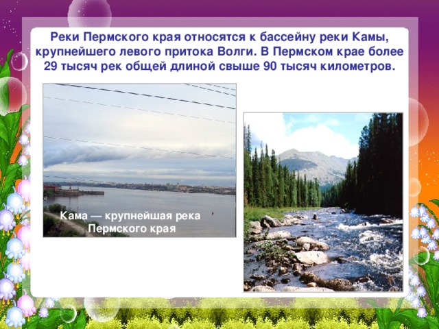 Реки Пермского края относятся к бассейну реки Камы, крупнейшего левого притока Волги. В Пермском крае более 29 тысяч рек общей длиной свыше 90 тысяч километров. Кама — крупнейшая река Пермского края 