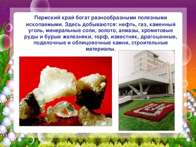  Пермский край богат разнообразными полезными ископаемыми. Здесь добываются: нефть, газ, каменный уголь, минеральные соли, золото, алмазы, хромитовые руды и бурые железняки, торф, известняк, драгоценные, поделочные и облицовочные камни, строительные материалы. 