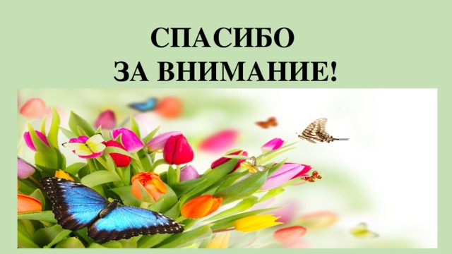 СПАСИБО  ЗА ВНИМАНИЕ! 
