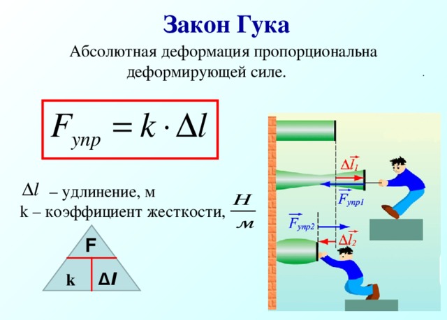  Закон Гука Абсолютная деформация пропорциональна деформирующей силе. . – удлинение, м k – коэффициент жесткости ,  F ∆ l k 