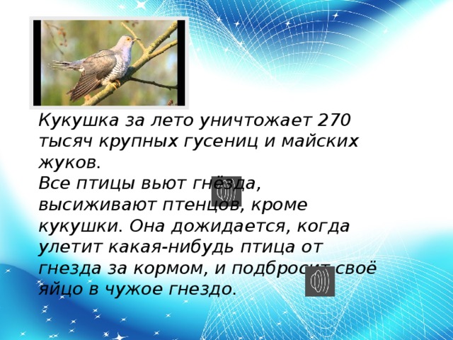 Кукушка за лето уничтожает 270 тысяч крупных гусениц и майских жуков. Все птицы вьют гнёзда, высиживают птенцов, кроме кукушки. Она дожидается, когда улетит какая-нибудь птица от гнезда за кормом, и подбросит своё яйцо в чужое гнездо.