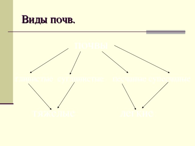 Виды почв. почвы глинистые суглинистые песчаные супесчаные  тяжелые легкие 