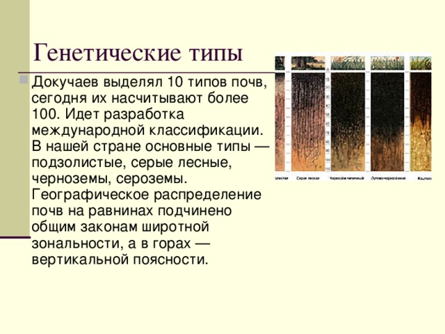 Генетические типы Докучаев выделял 10 типов почв, сегодня их насчитывают более 100. Идет разработка международной классификации. В нашей стране основные типы — подзолистые, серые лесные, черноземы, сероземы. Географическое распределение почв на равнинах подчинено общим законам широтной зональности, а в горах — вертикальной поясности.  