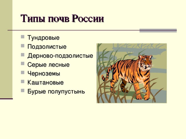Типы почв России Тундровые Подзолистые Дерново-подзолистые Серые лесные Черноземы Каштановые Бурые полупустынь 