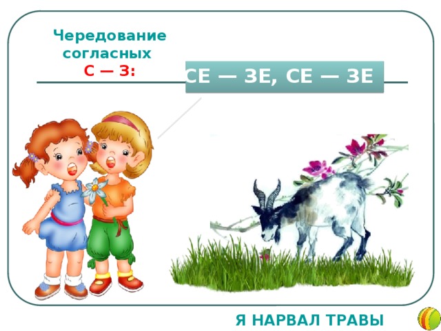 Чередование согласных  С — З: СЕ — ЗЕ, СЕ — ЗЕ Я НАРВАЛ ТРАВЫ КОЗЕ 