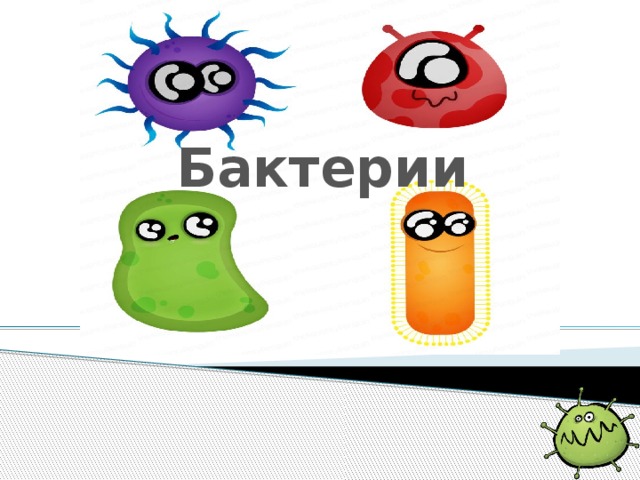 Бактерии    