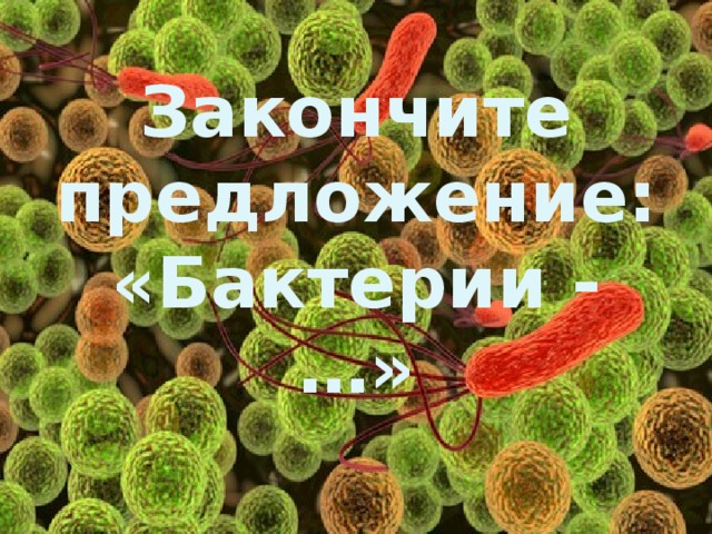Закончите предложение:  «Бактерии - …» 