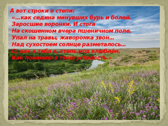 А вот строки о степи:  «…как седина минувших бурь и болей.  Заросшие воронки. И стога  На скошенном вчера пшеничном поле.  Упал на травы, жаворонка звон…  Над сухостоем солнце разметалось…  О, как в тебя я, степь моя влюблён,  Как понимаю я твою усталость.»   