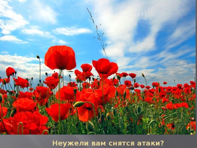 Неужели вам снятся атаки? 