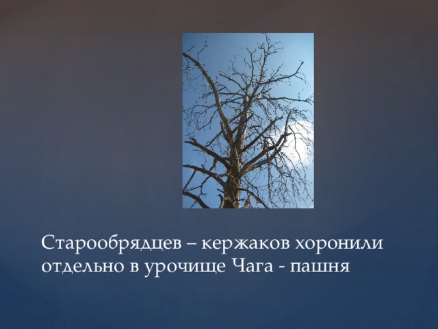 Старообрядцев – кержаков хоронили отдельно в урочище Чага - пашня 
