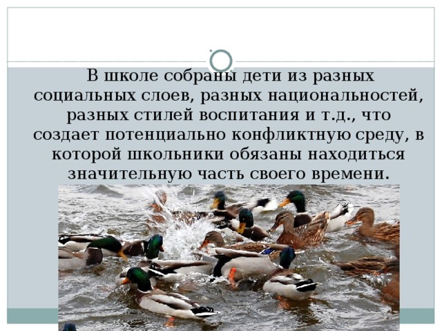  В школе собраны дети из разных социальных слоев, разных национальностей, разных стилей воспитания и т.д., что создает потенциально конфликтную среду, в которой школьники обязаны находиться значительную часть своего времени. 