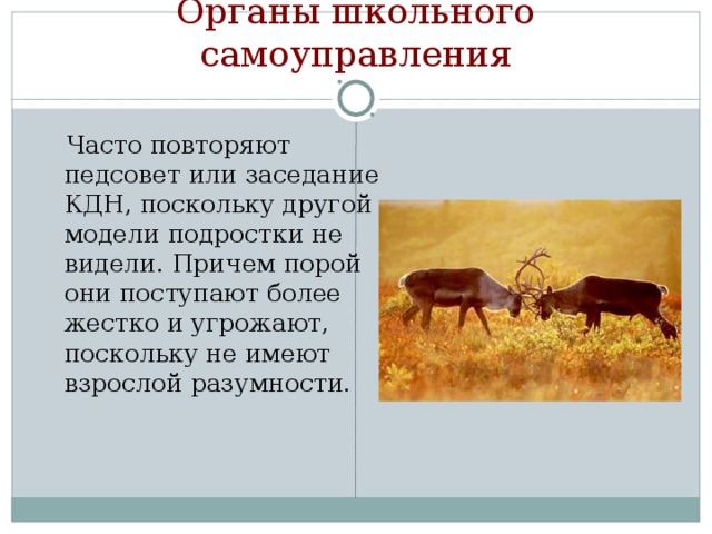 Направление к психологу Школьники говорили нам, что окружающие ребята начинают относиться как к «психам». Психолог квалифицирует и решает ситуацию как специалист. Психолог работает по запросу. Длительная работа 