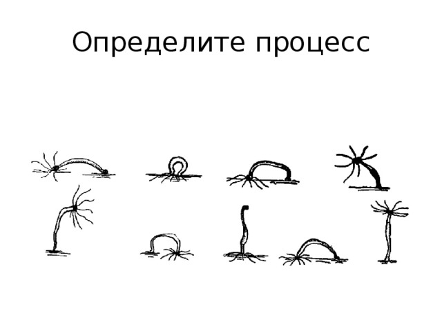 Определите процесс 