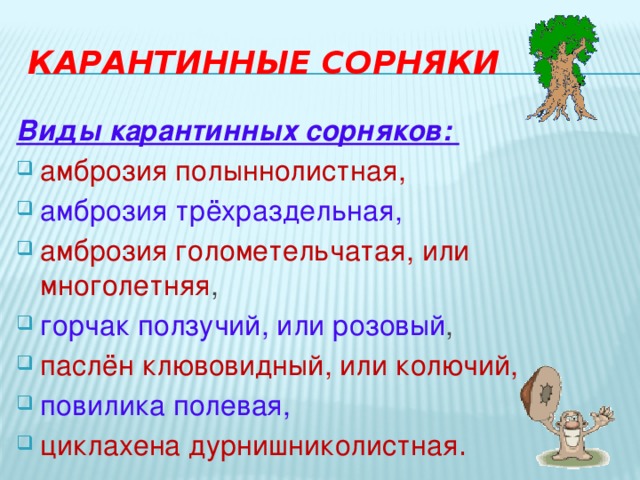 Карантинные сорняки Виды карантинных сорняков: амброзия полыннолистная, амброзия трёхраздельная, амброзия голометельчатая, или многолетняя , горчак ползучий, или розовый , паслён клювовидный, или колючий, повилика полевая, циклахена дурнишниколистная .  