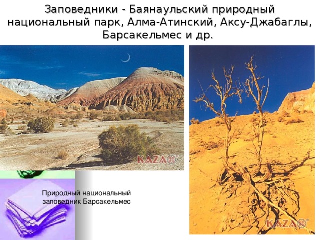 Заповедники - Баянаульский природный национальный парк, Алма-Атинский, Аксу-Джабаглы, Барсакельмес и др.   Природный национальный заповедник Барсакельмес 