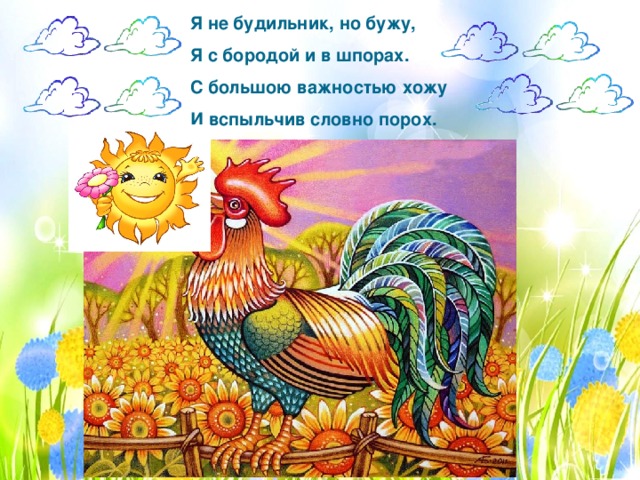Я не будильник, но бужу,  Я с бородой и в шпорах.  С большою важностью хожу   И вспыльчив словно порох.   