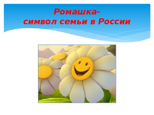 Ромашка-  символ семьи в России 