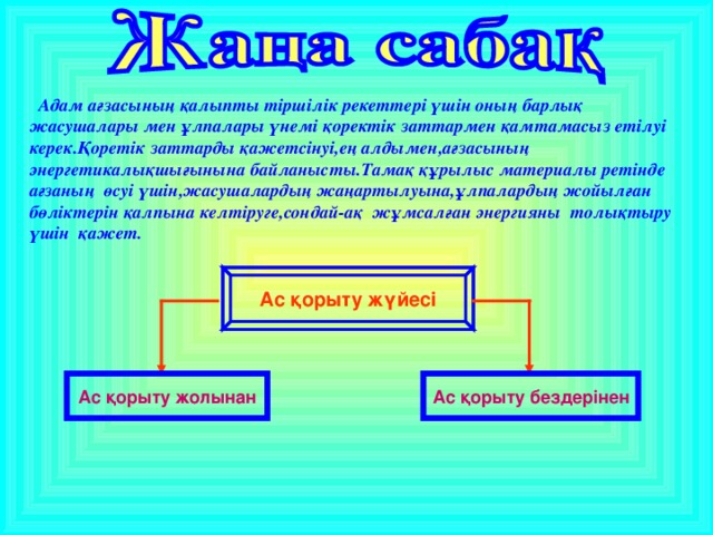  Адам ағзасының қалыпты тіршілік рекеттері үшін оның барлық жасушалары мен ұлпалары үнемі қоректік заттармен қамтамасыз етілуі керек.Қоретік заттарды қажетсінуі,ең алдымен,ағзасының энергетикалықшығынына байланысты.Тамақ құрылыс материалы ретінде ағзаның өсуі үшін,жасушалардың жаңартылуына,ұлпалардың жойылған бөліктерін қалпына келтіруге,сондай-ақ жұмсалған энергияны толықтыру үшін қажет. Ас қорыту жүйесі Ас қорыту жолынан Ас қорыту бездерінен 