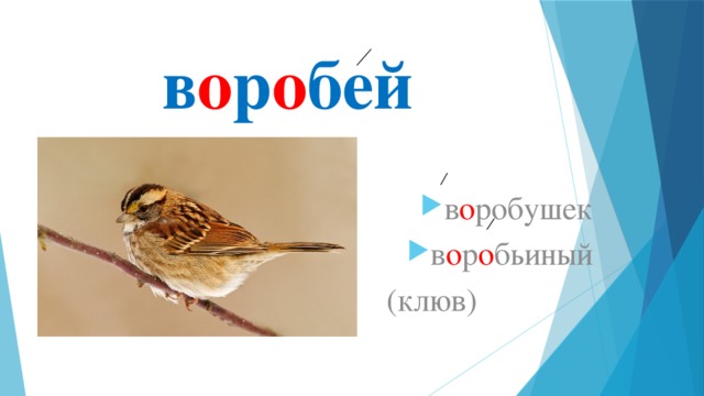 в о р о бей в о робушек в о р о бьиный  (клюв) 