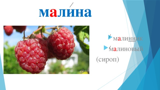 м а лина м а ли нн ик м а линовый  (сироп) 