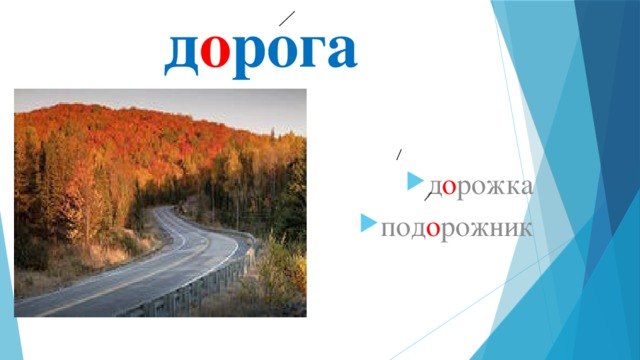 д о рога д о рожка под о рожник 