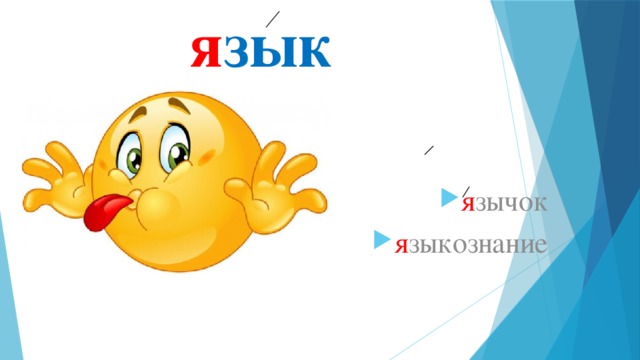 я зык я зычок я зыкознание 