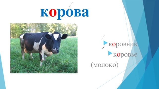 к о рова к о ровник к о ровье  (молоко) 