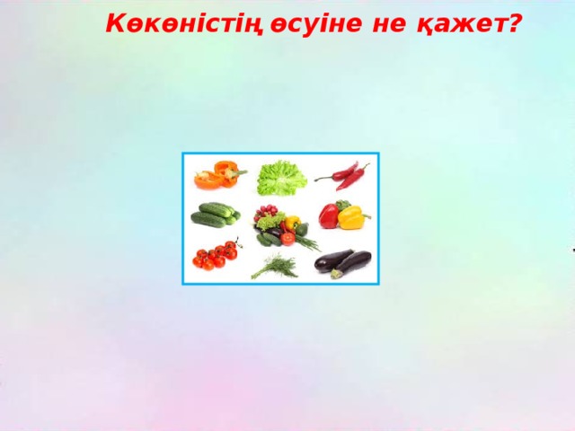 Көкөністің өсуіне не қажет? 