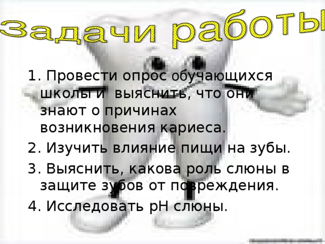 1. Провести опрос об уча ю щихся школы и выяснить, что они знают о причинах возникновения кариеса. 2. Изучить влияние пищи на зубы. 3. Выяснить, какова роль слюны в защите зубов от повреждения. 4. Исследовать pH слюны. 