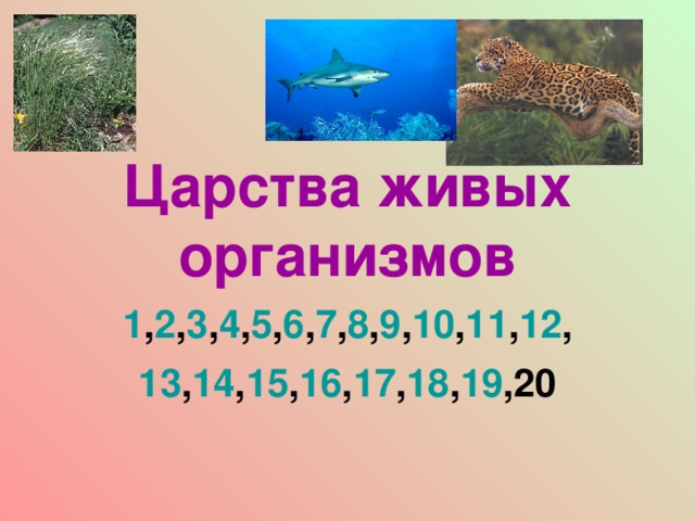 Царства живых организмов 1 , 2 , 3 , 4 , 5 , 6 , 7 , 8 , 9 , 10 , 11 , 12 , 13 , 14 , 15 , 16 , 17 , 18 , 19 ,20 