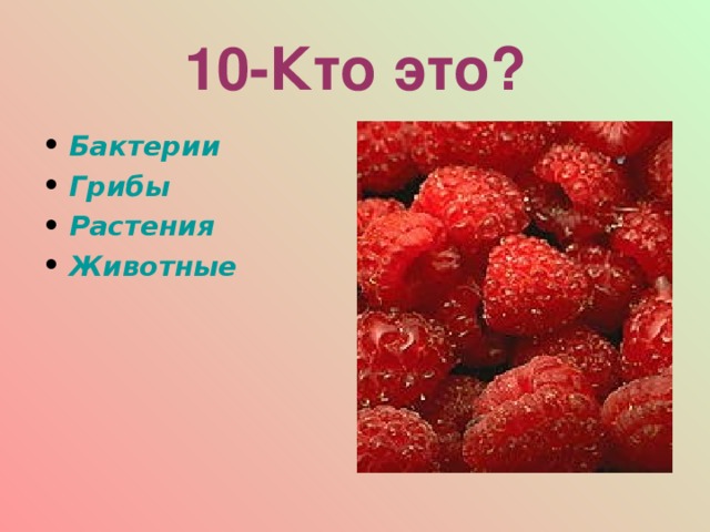 10-Кто это? Бактерии Грибы Растения Животные  
