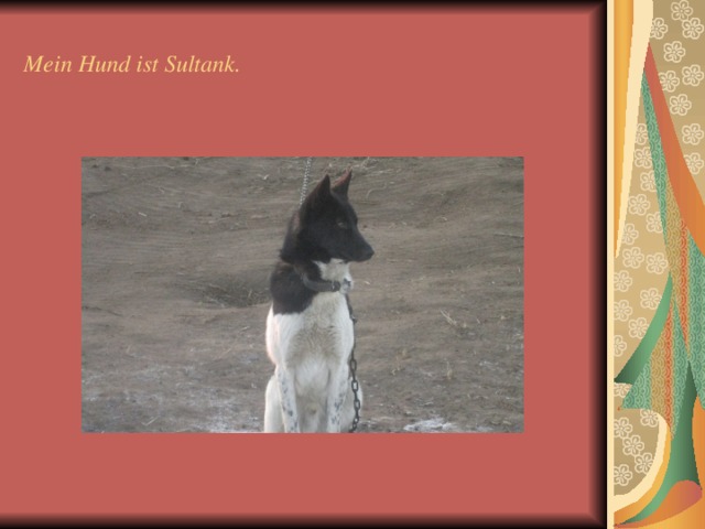 Mein Hund ist Sultank. 