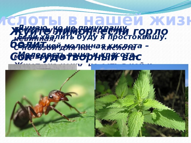 Кислоты в нашей жизни Думаю, чо не приукрашу,  Если хвалить буду я простоквашу.  Есть в ней молочная кислота –  Молодость ваша и красота. Жуйте лимон, если горло болит Сок чудотворный вас исцелит. Есть в муравьях и крапиве невинная, С пользой для нас – кислота муравьиная. Жжет она кожу, но есть в ней и прок – Ваш ревматизм она вылечит в срок. 