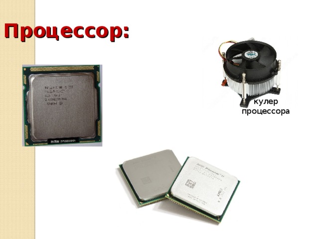 Процессор: кулер процессора