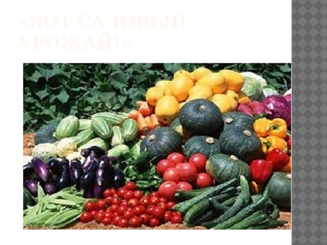 «Вот Садовый Урожай!» 