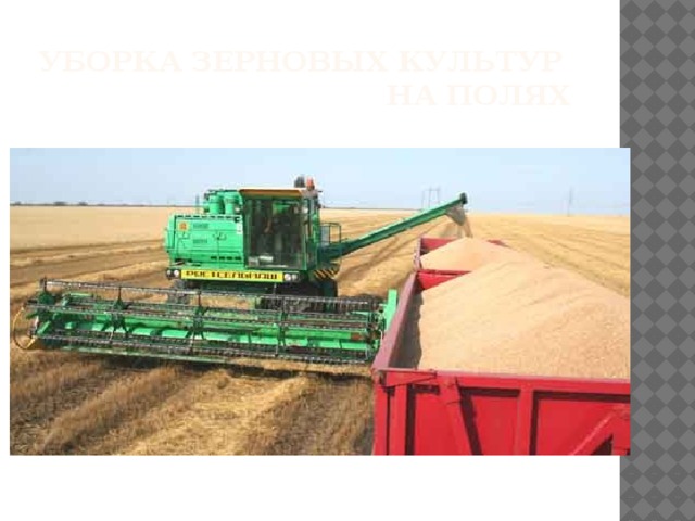 Уборка зерновых культур  на полях 