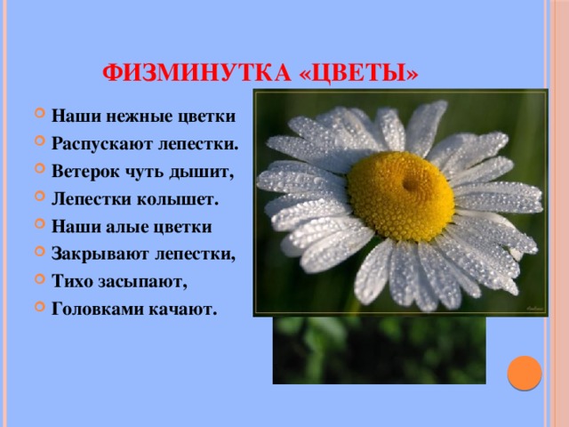 ФИЗМИНУТКА «ЦВЕТЫ» Наши нежные цветки Распускают лепестки. Ветерок чуть дышит, Лепестки колышет. Наши алые цветки Закрывают лепестки, Тихо засыпают, Головками качают.  