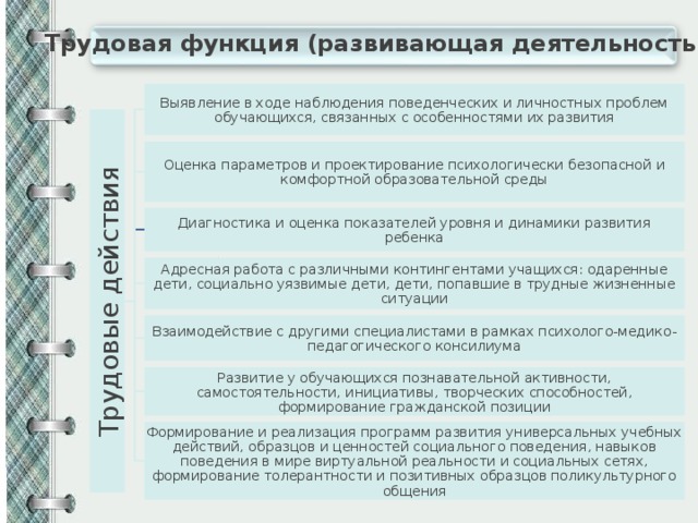 Трудовые действия Трудовая функция (развивающая деятельность) Выявление в ходе наблюдения поведенческих и личностных проблем обучающихся, связанных с особенностями их развития Оценка параметров и проектирование психологически безопасной и комфортной образовательной среды Диагностика и оценка показателей уровня и динамики развития ребенка Адресная работа с различными контингентами учащихся: одаренные дети, социально уязвимые дети, дети, попавшие в трудные жизненные ситуации Взаимодействие с другими специалистами в рамках психолого-медико-педагогического консилиума Развитие у обучающихся познавательной активности, самостоятельности, инициативы, творческих способностей, формирование гражданской позиции Формирование и реализация программ развития универсальных учебных действий, образцов и ценностей социального поведения, навыков поведения в мире виртуальной реальности и социальных сетях, формирование толерантности и позитивных образцов поликультурного общения 