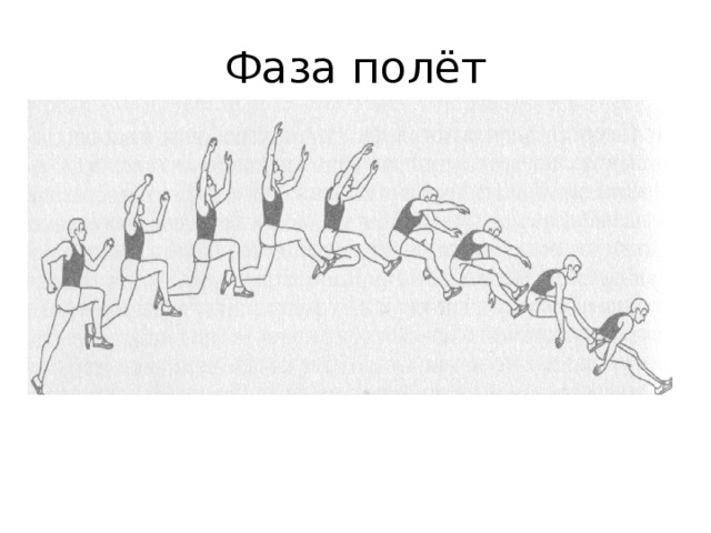 Фаза полёт 