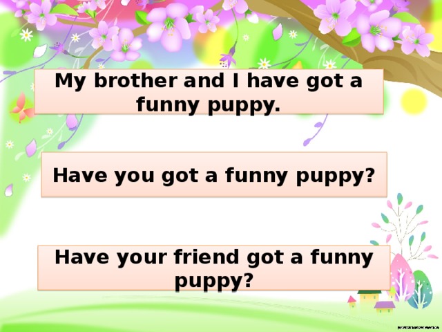 My brother and I have got a funny puppy. Have you got a funny puppy? Have your friend got a funny puppy? 