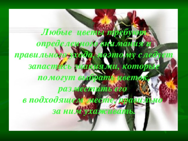 Любые цветы требуют определенного внимания и правильного ухода, поэтому следует запастись знаниями, которые помогут выбрать цветок, разместить его в подходящем месте, правильно за ним ухаживать. 